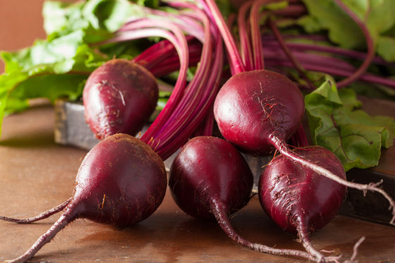 beetroot-crop-nutrition-protection-package.html