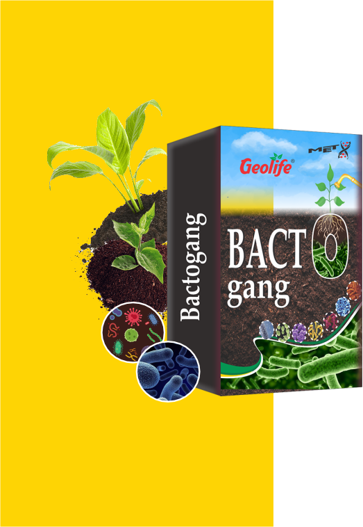 Nano Technology Water Soluble High Performing Bio - Fertilizer