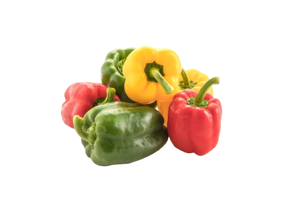 Capsicum