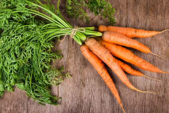 Carrot Crop Bio Fertilizer Nutrition and  Protection Package Geolife Agro Nano Technology
