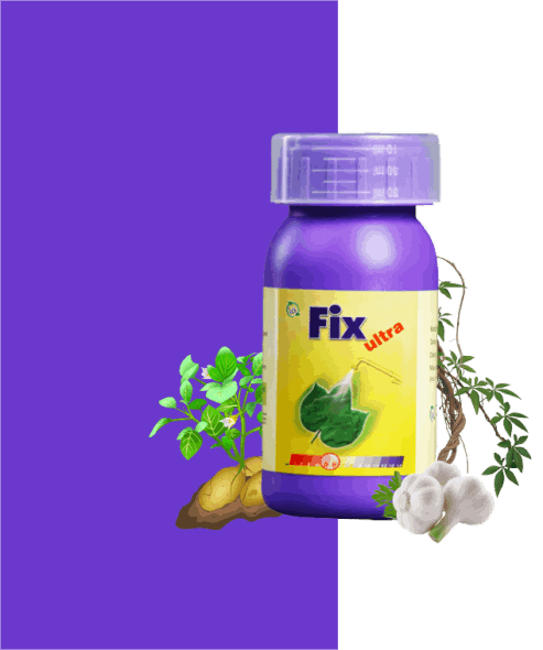 Performance Enhancers