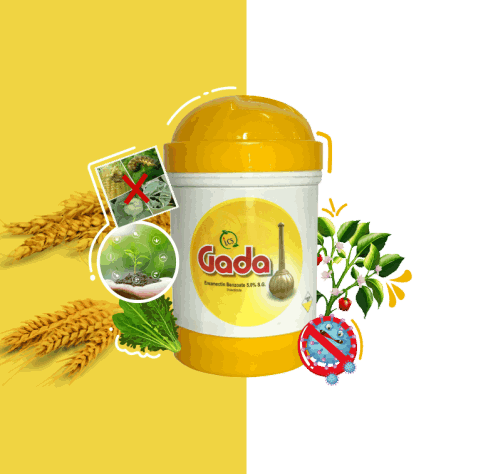 High Performing Insecticide