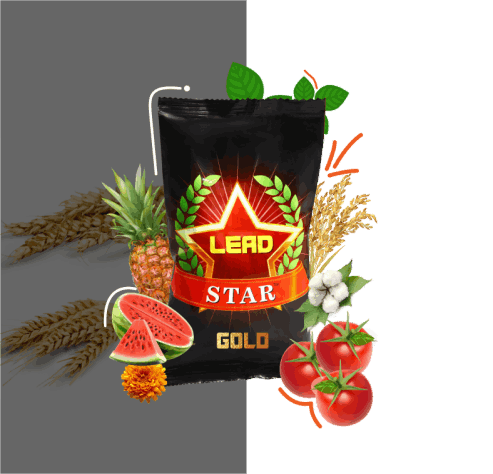 High Performing Bio - Fertilizer
