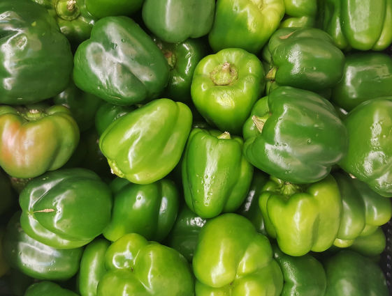 Capsicum Crop Bio Fertilizer Nutrition and  Protection Package Geolife Agro Nano Technology