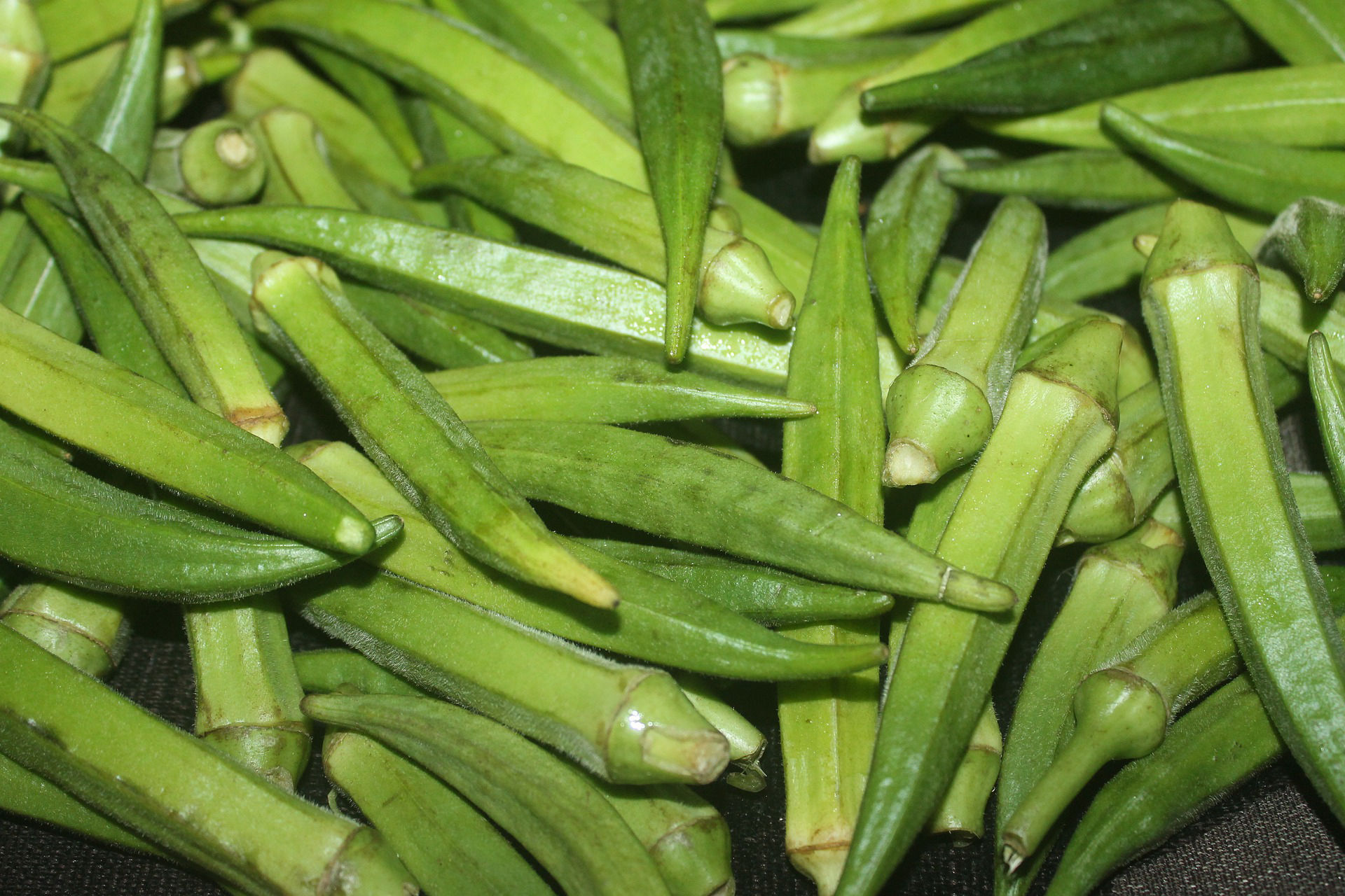 Okra Crop Bio Fertilizer Nutrition and  Protection Package Geolife Agro Nano Technology