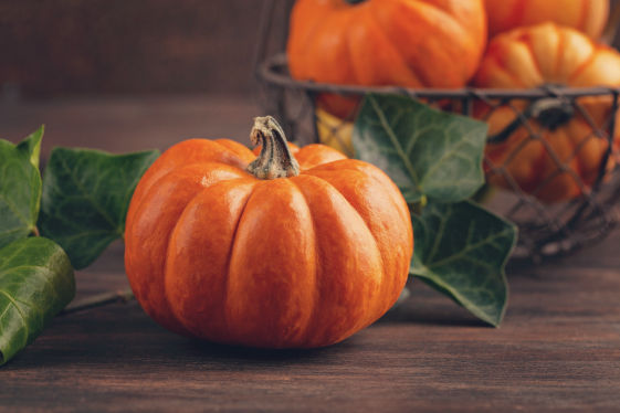 Pumpkin Crop Bio Fertilizer Nutrition and  Protection Package Geolife Agro Nano Technology