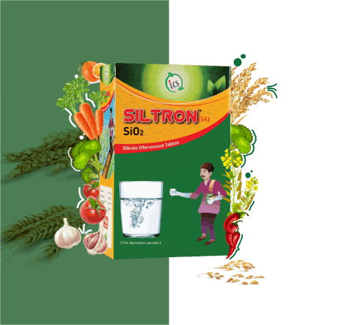 Nano Technology Specialty Nutrients and Bio-Stimulants
