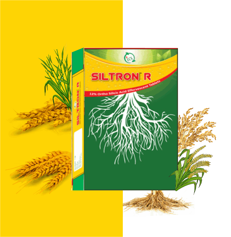 Nano Technology Specialty Nutrients and Bio-Stimulants
