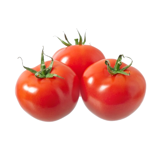 Tomato